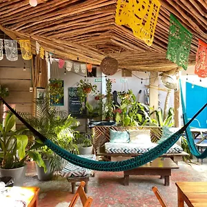 Barco Auberge de jeunesse Holbox